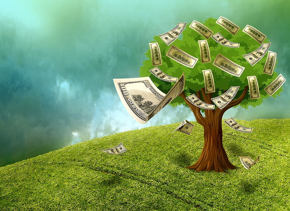 money-trees