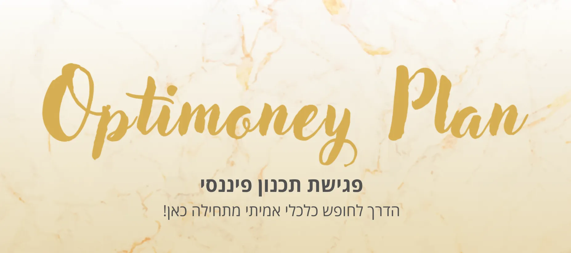 optimoney plan - שיחת תכנון פיננסי